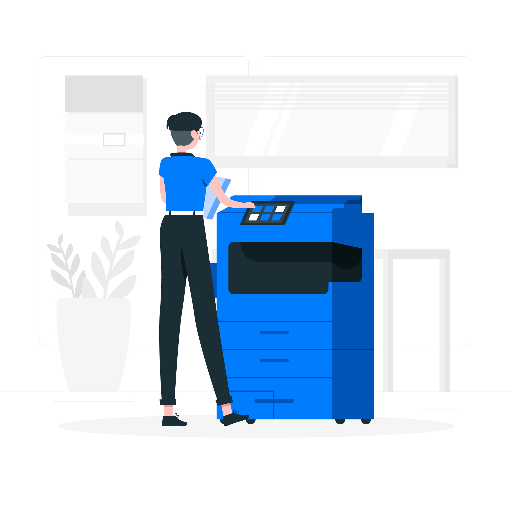   Printer Software Installation